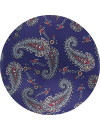 123-685 Indigo Pictorico